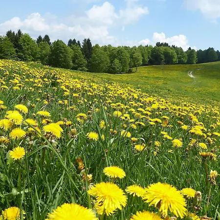 بيت للعطل Giove