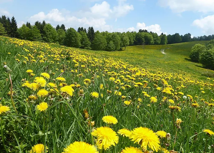 Prázdninový dům Giove